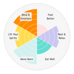 An image of the Wellbeing Wheel, with six sections and a different score from 0-6 for each section