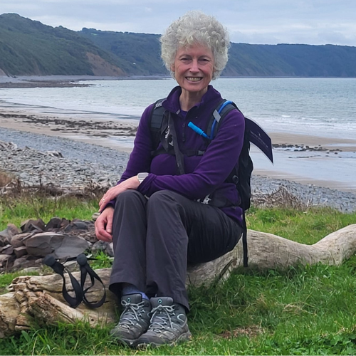 Sue Lloyd sat on a piece of driftwood with the sea behind her.