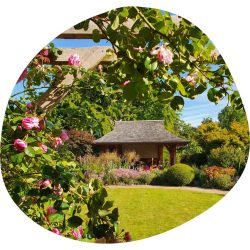 The hut in our gardens